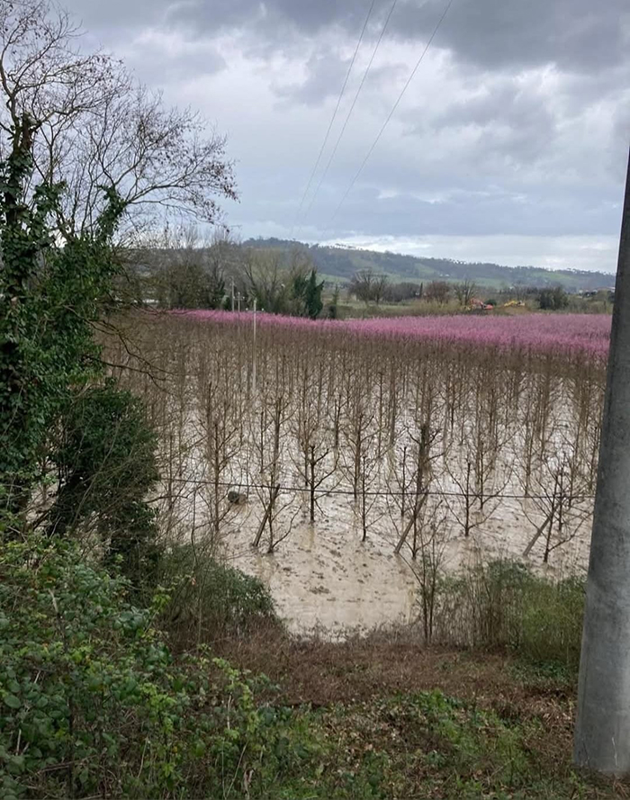 Alluvione nel faentino, Romagna